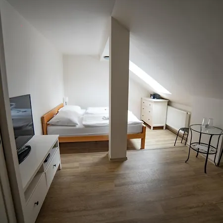 Havířská Bouda Penzion 3*